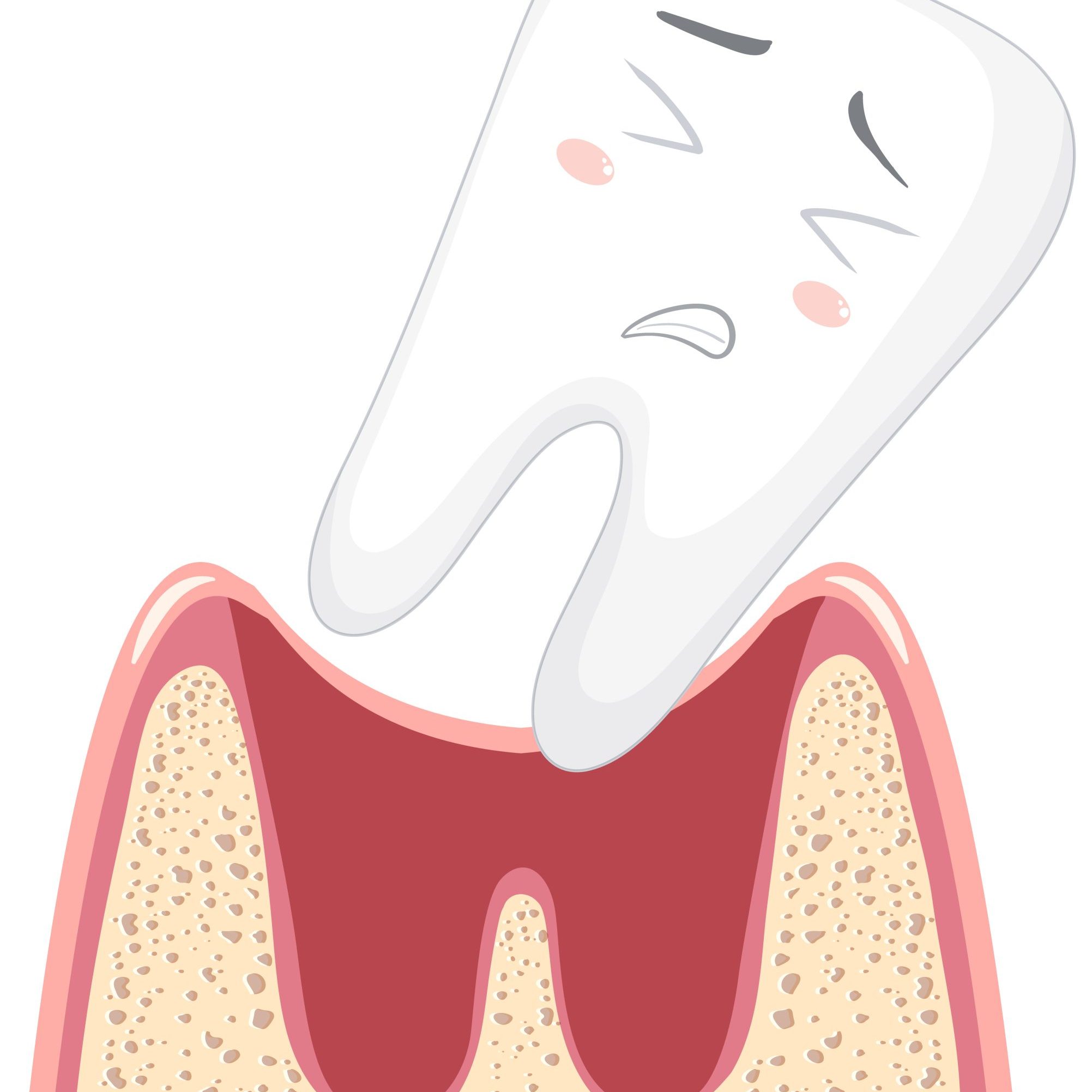 Cartoon loose teeth in gum on white background Cartoon loose teeth in gum on white background illustration